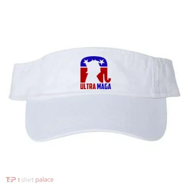 Visor