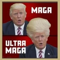 Ultra Maga Donald J Trump Ultra Maga 1 T-Shirt thumb 7