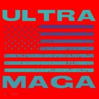 Ultra MAGA Conservative US Flag Santa Hat thumb 1
