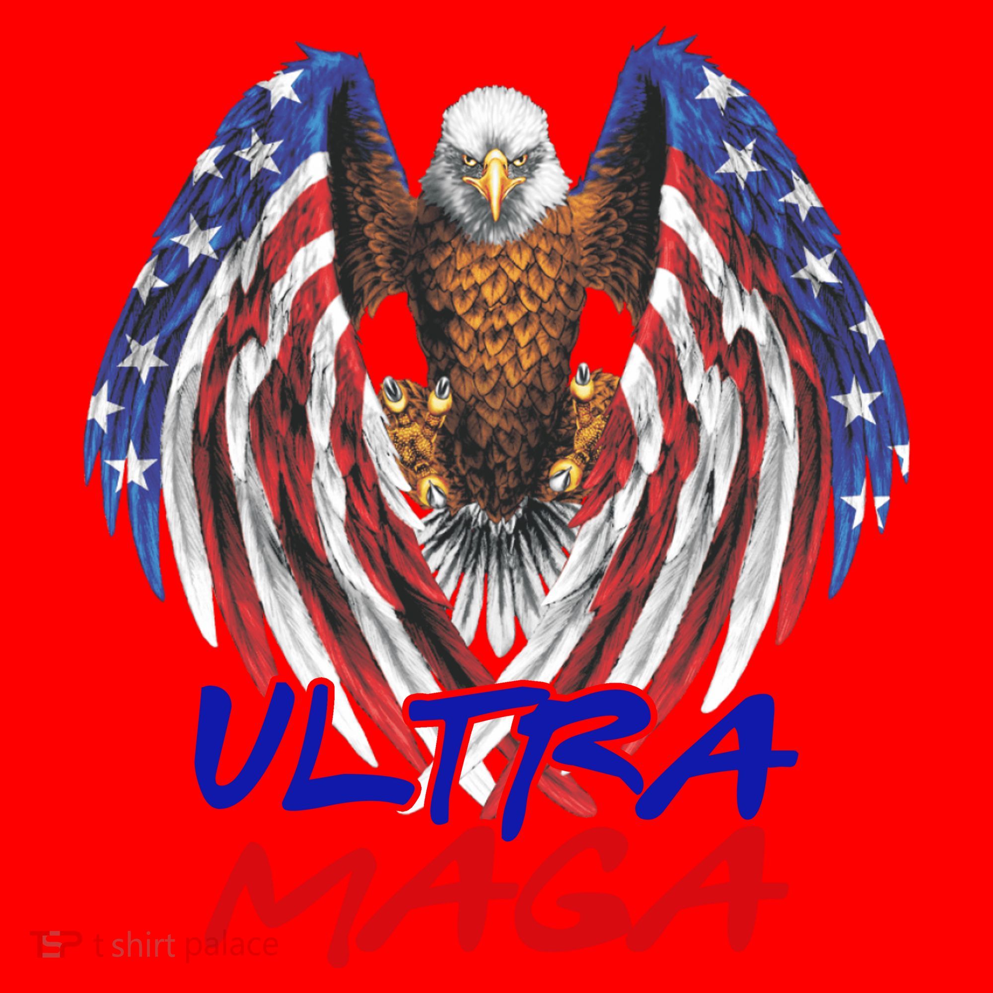 Ultra Maga USA Eagle Santa Hat