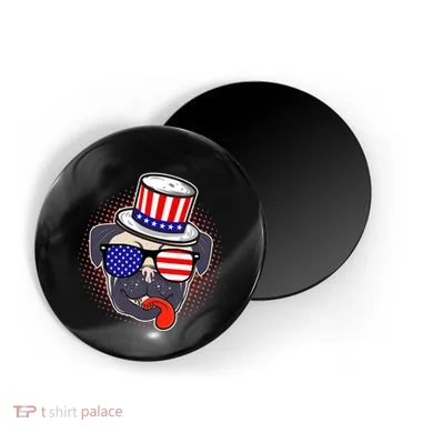 Magnet