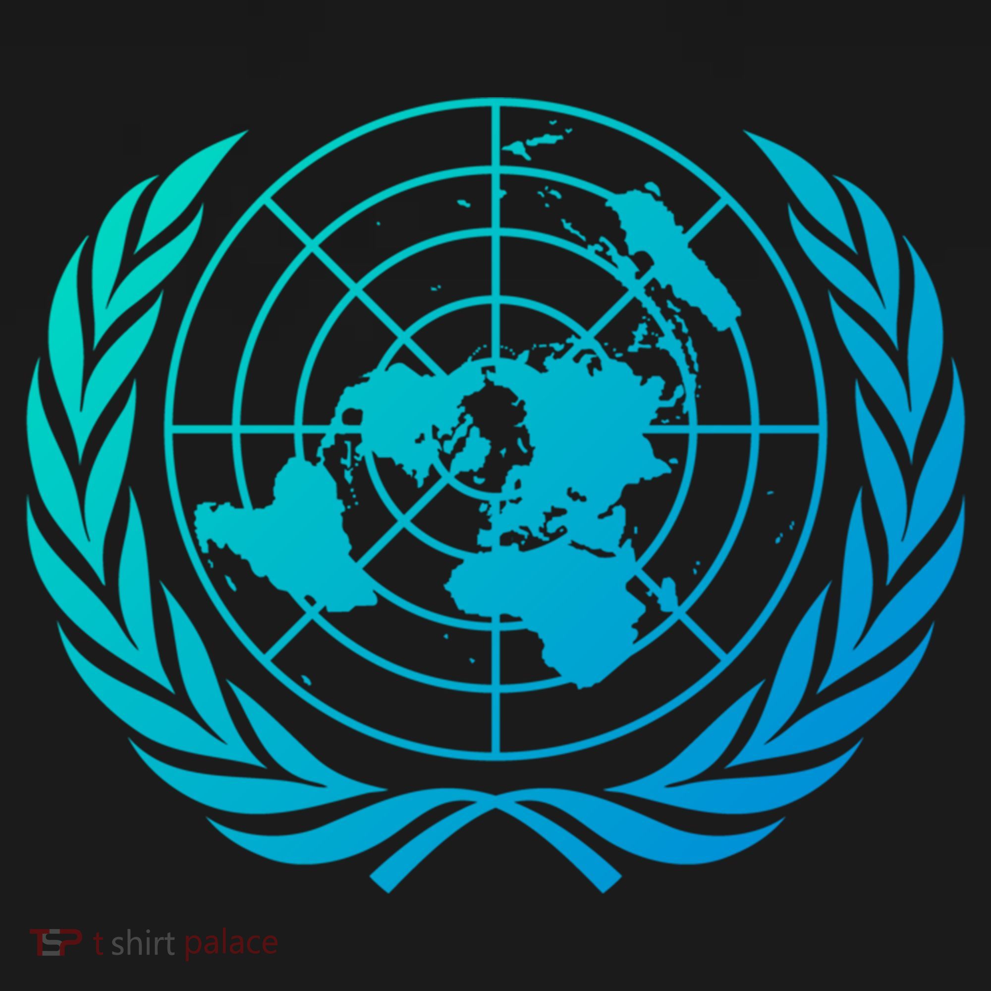 United Nations Flag Un United Nations Emblem Meaningful Gift Women's Hoodie