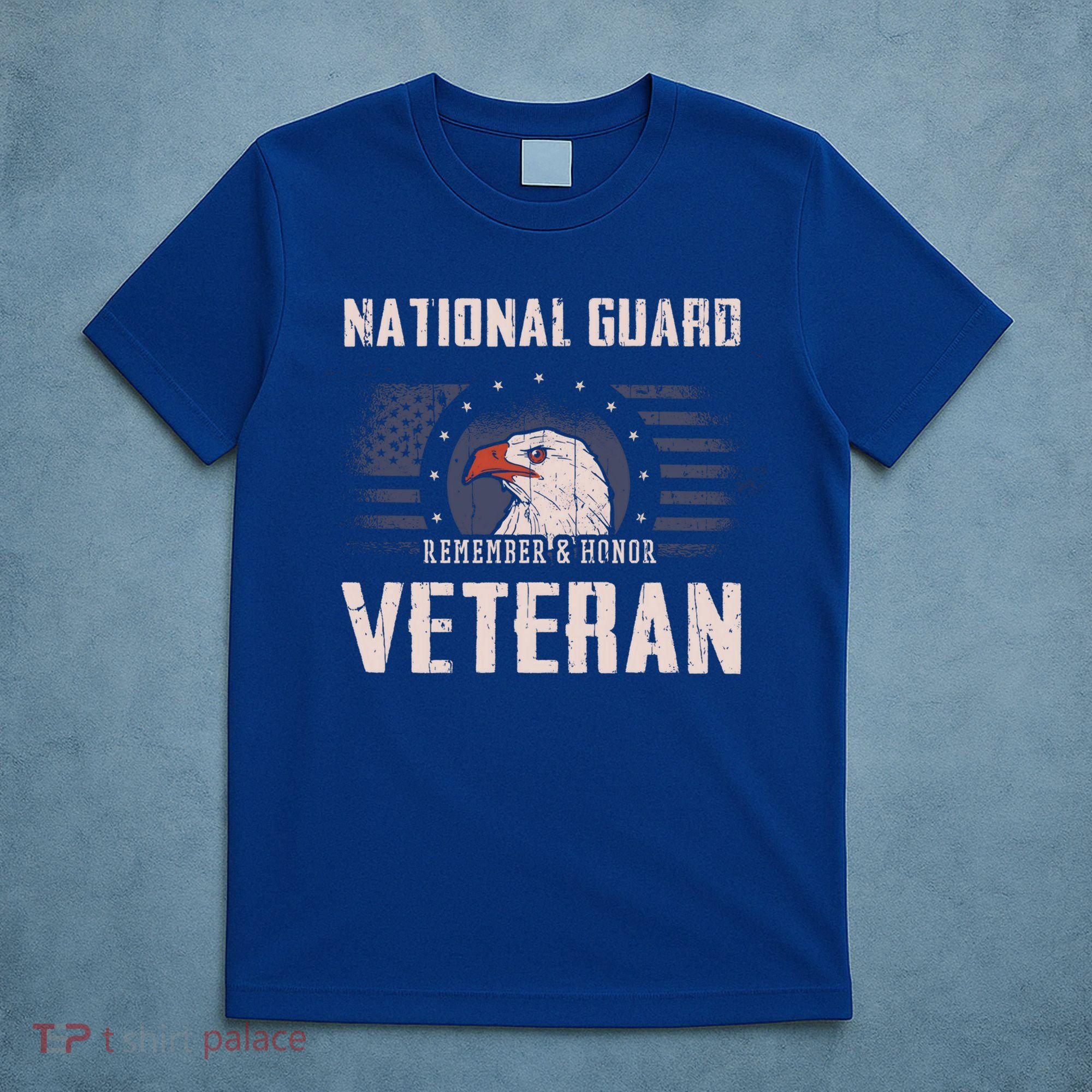 Us National Guard Veteran Eagle Usa Flag Veterans Day Funny Gift T-Shirt