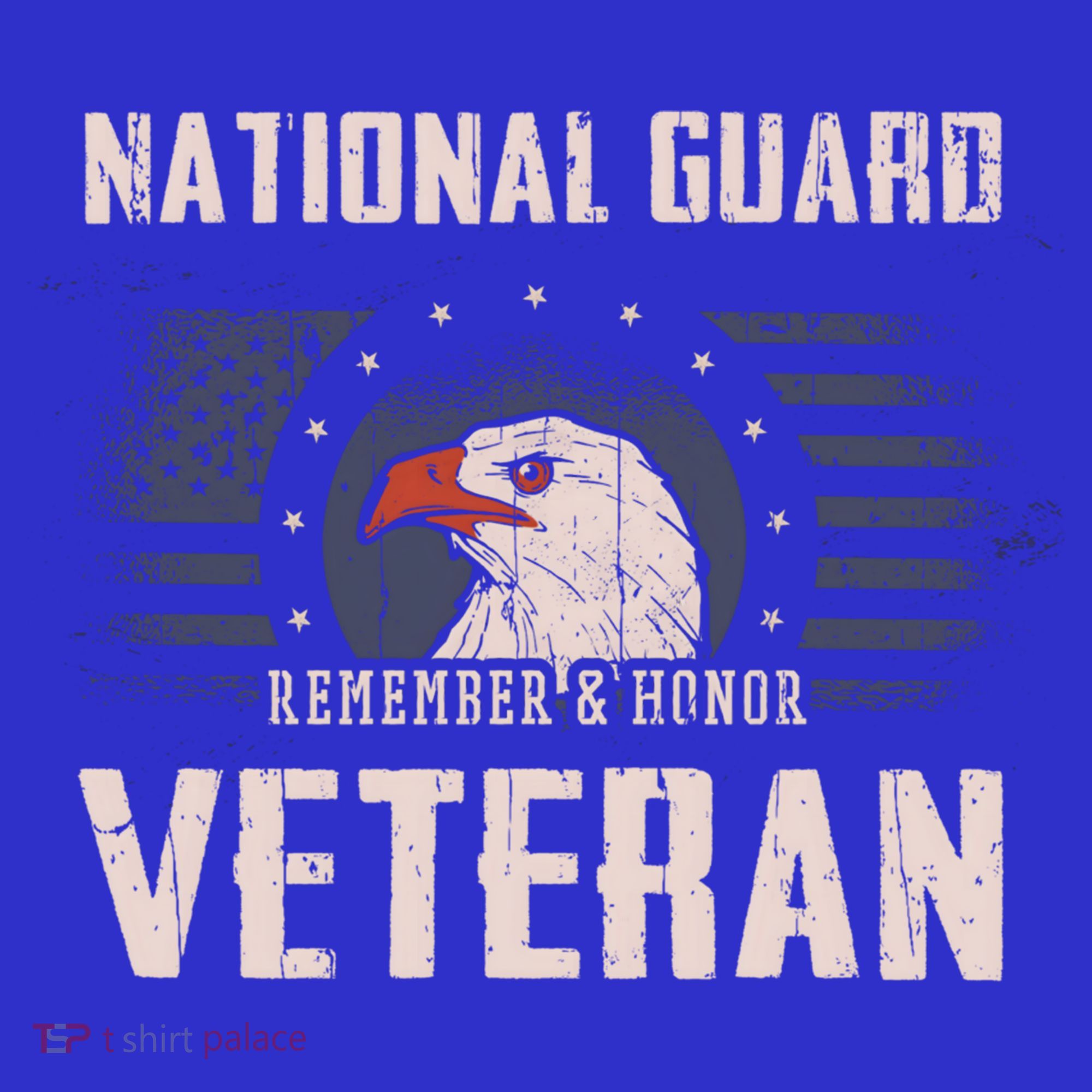 Us National Guard Veteran Eagle Usa Flag Veterans Day Funny Gift Visor