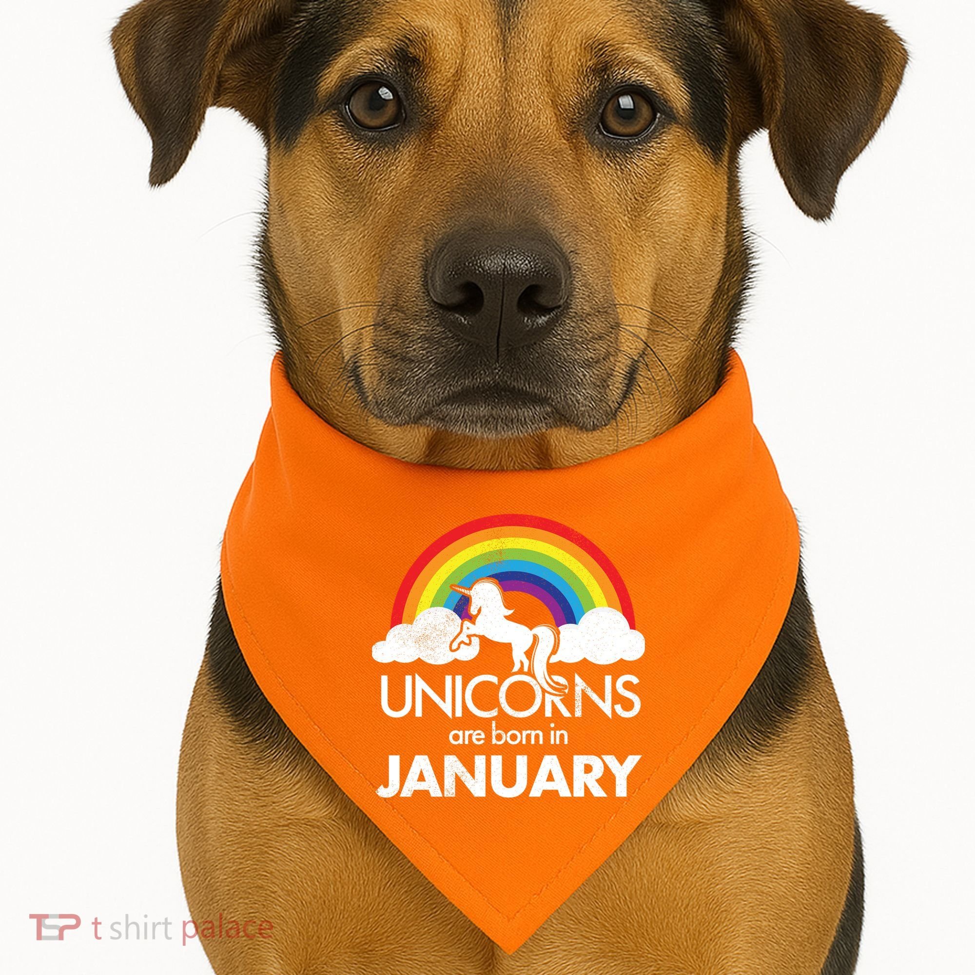 Unicorns Are Born in January USA-Made Doggie Bandana