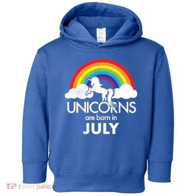 Toddler Hoodie
