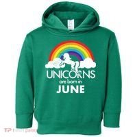 Unicorns Are Born in June Toddler Hoodie thumb 0