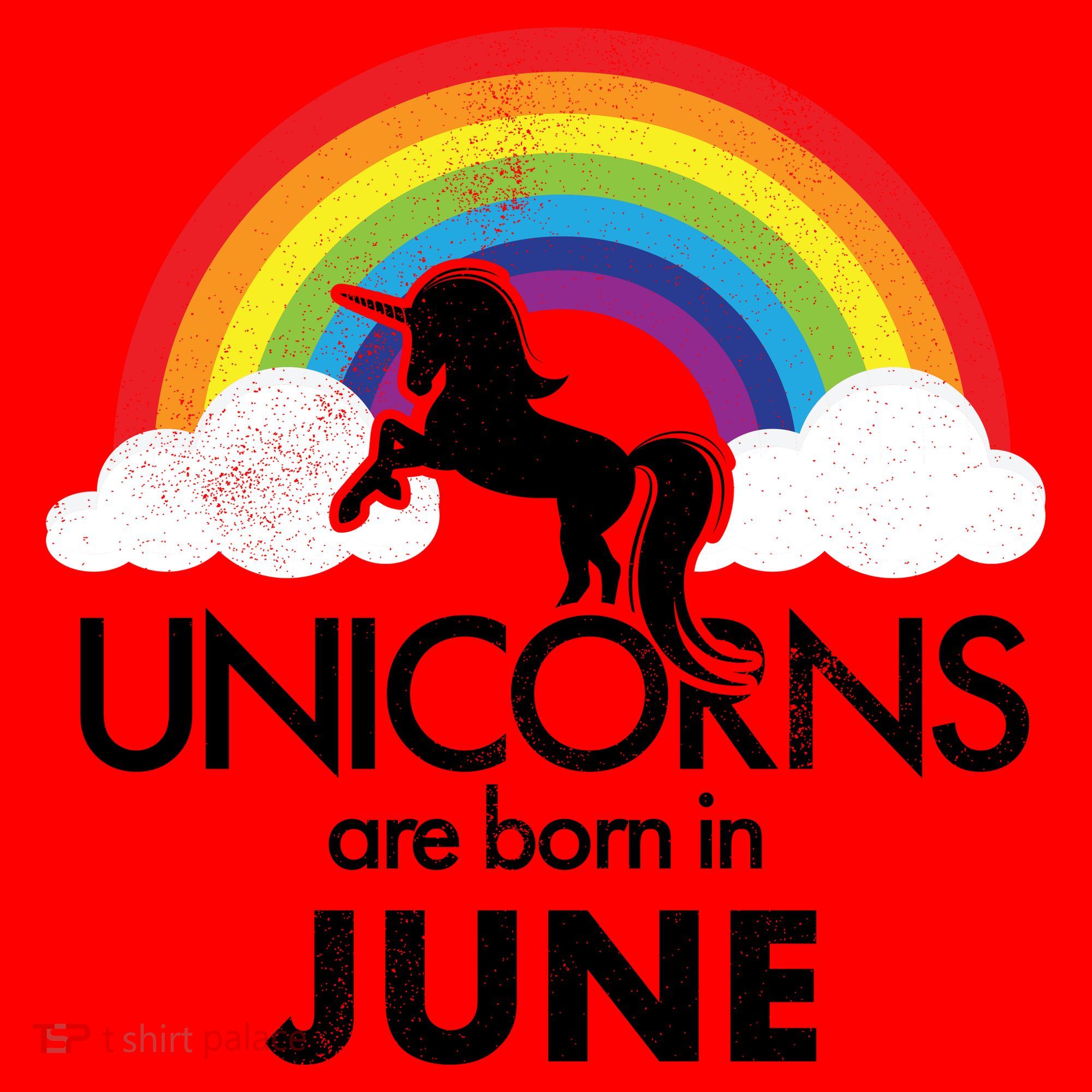 Unicorns Are Born in June Santa Hat