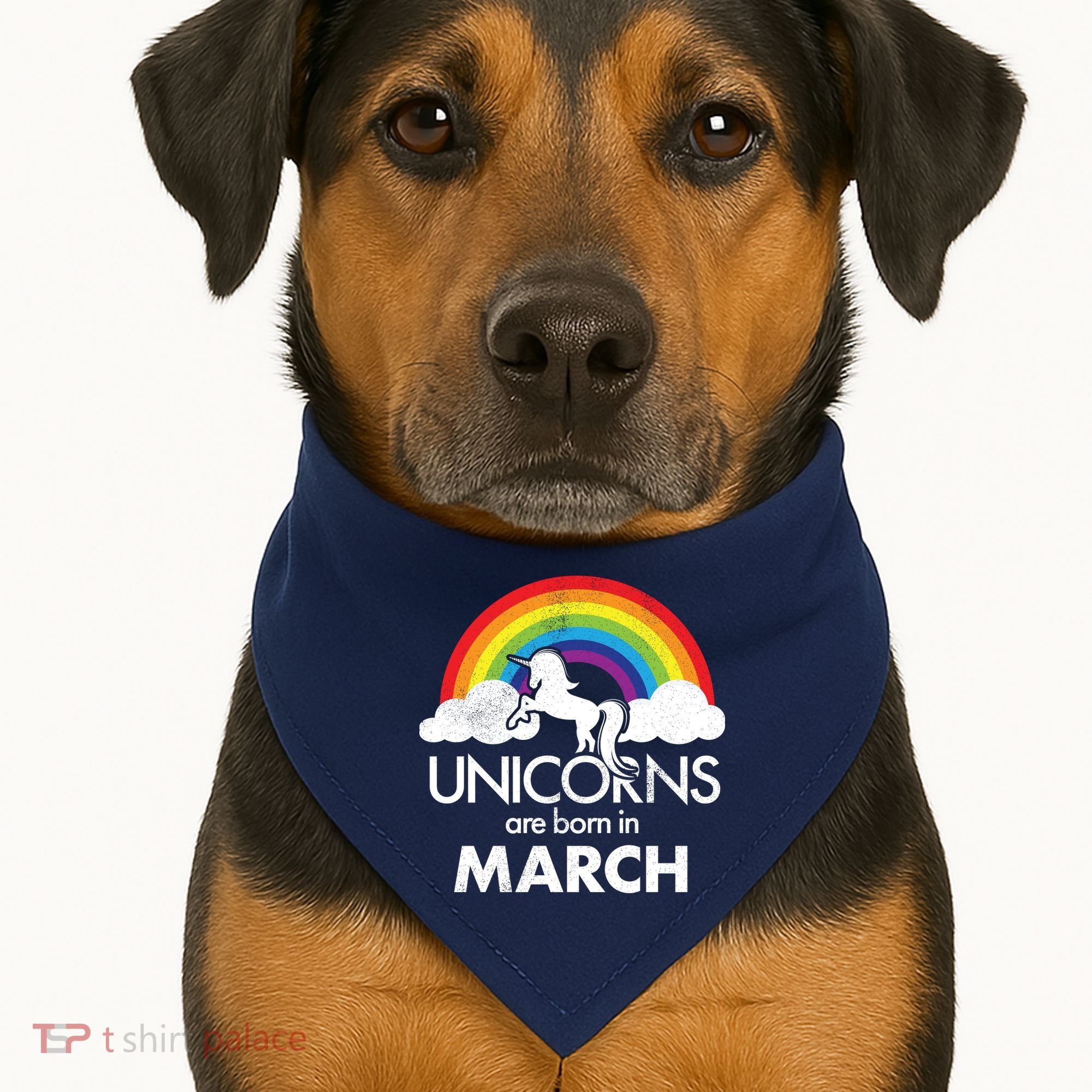 Unicorns Are Born in March USA-Made Doggie Bandana