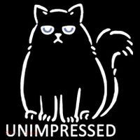 Unimpressed Funny Angry Cat Sweatshirt thumb 3