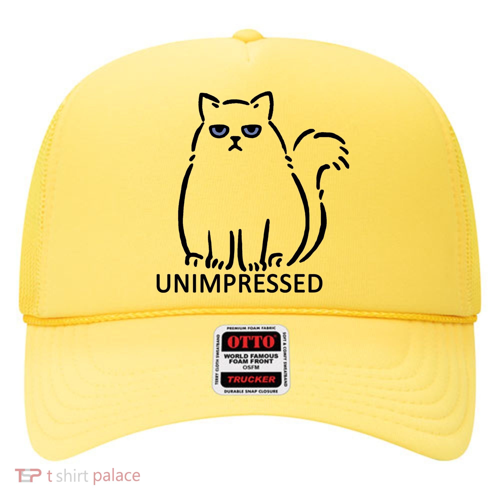 Unimpressed Funny Angry Cat Hat