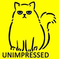 Unimpressed Funny Angry Cat Kids T-Shirt thumb 4