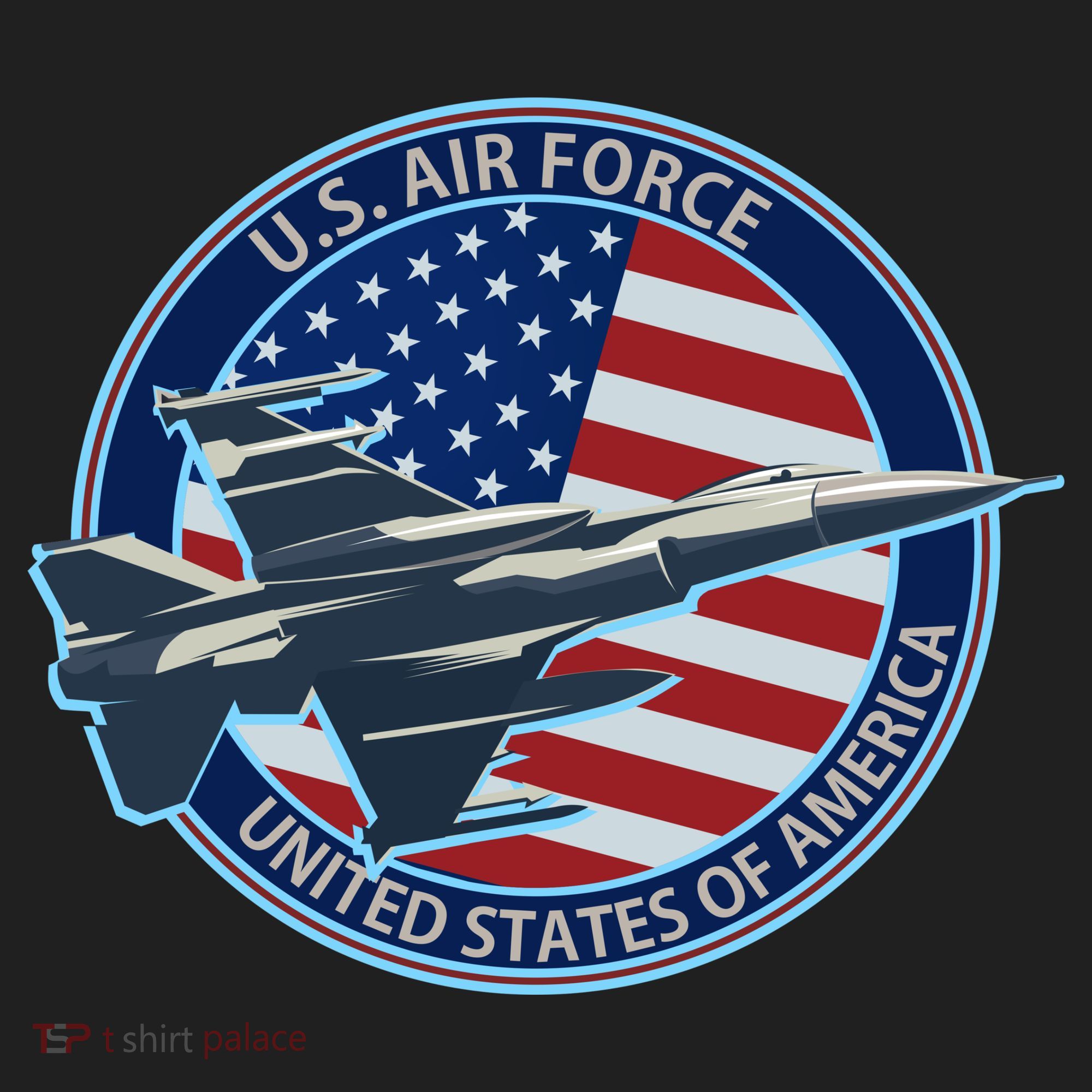 United States Air Force Logo Urban Oversized Heavyweight T-Shirt