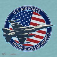 United States Air Force Logo Sueded Cloud Jersey T-Shirt thumb 2