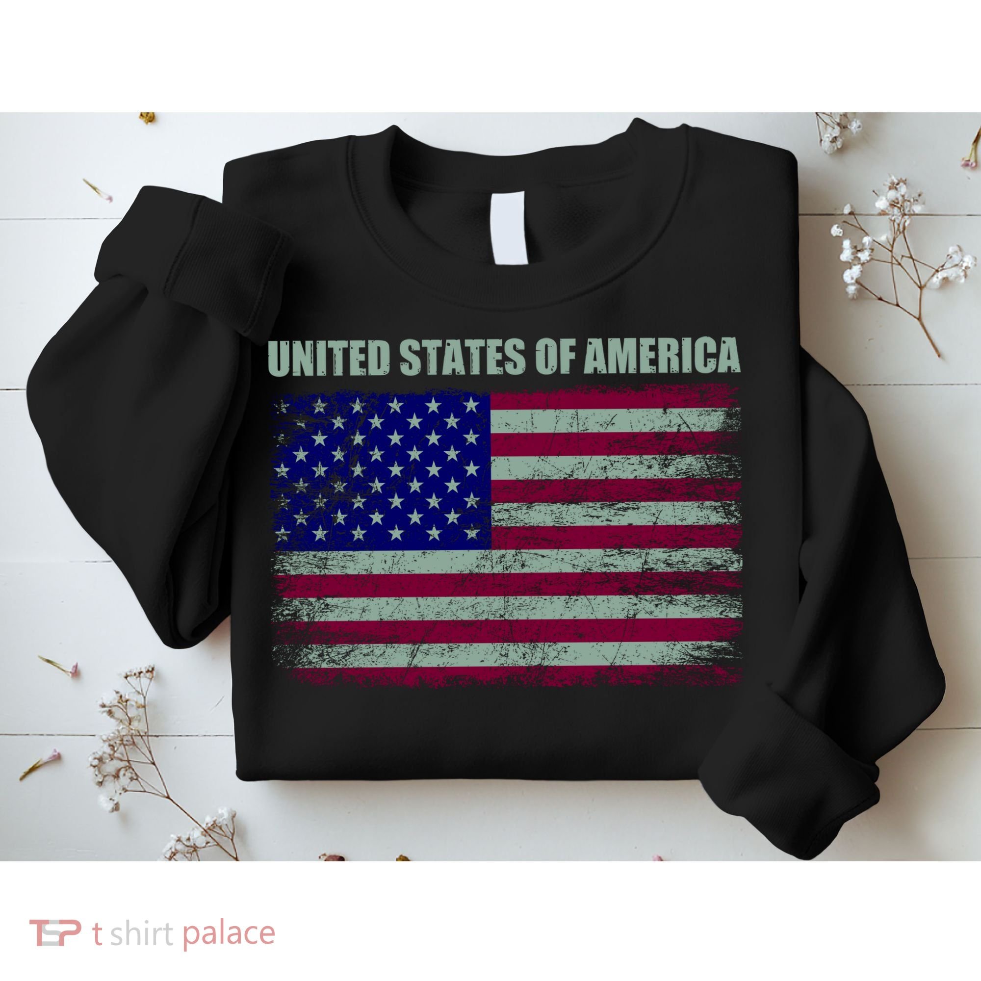 United States Of America Sweatshirt