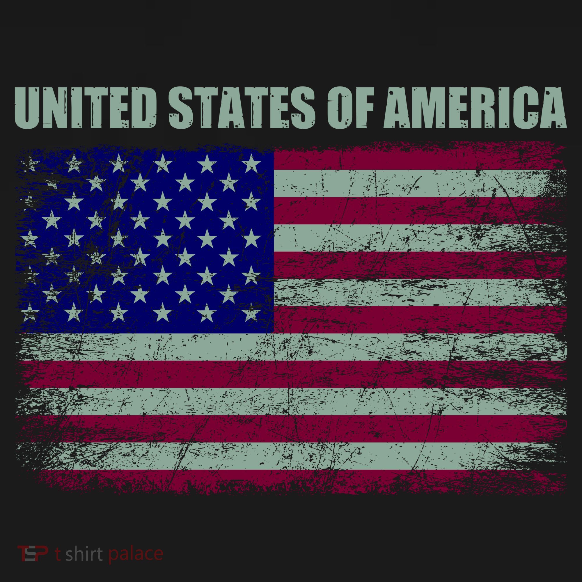 United States Of America Women's Hoodie
