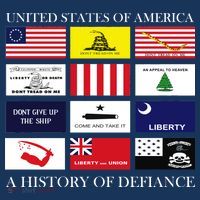 United States Of America A History Of Defiance  Women's Hoodie thumb 2