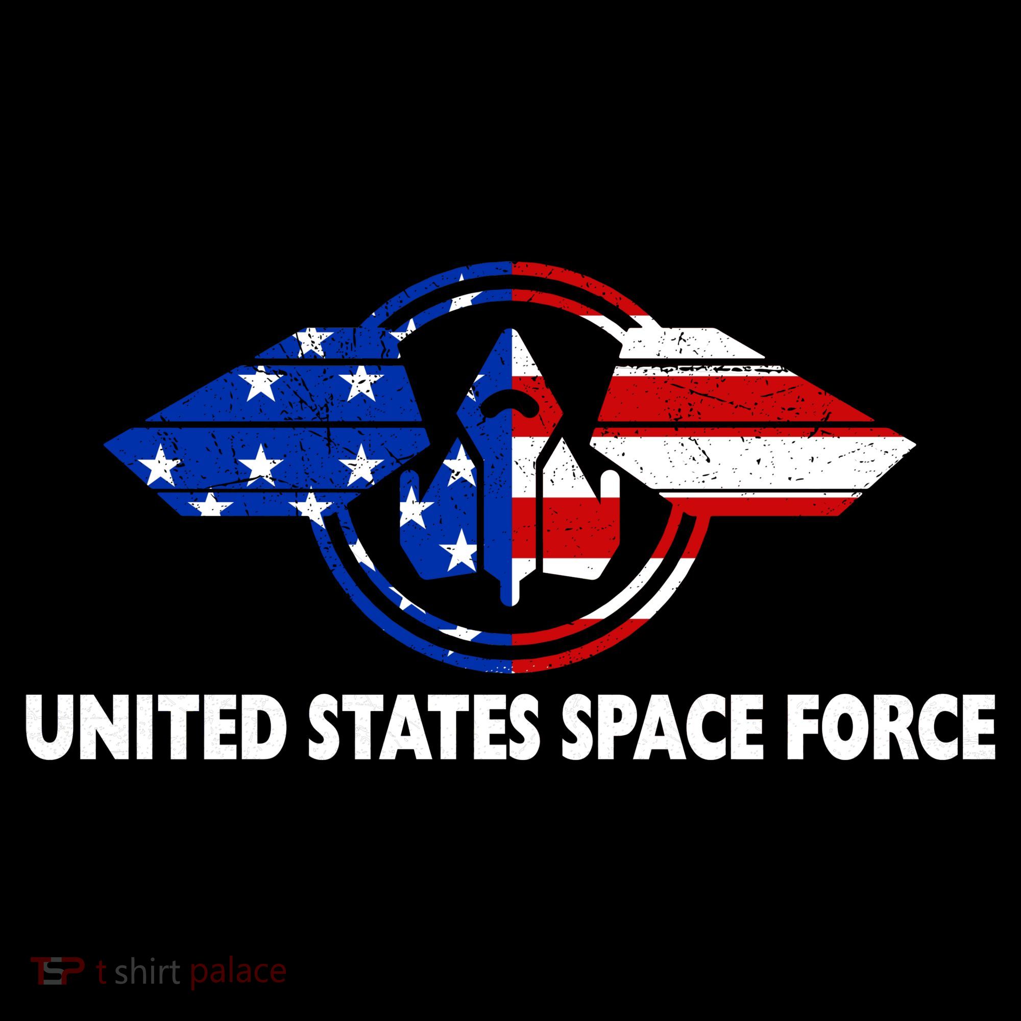 United States Space Force Button