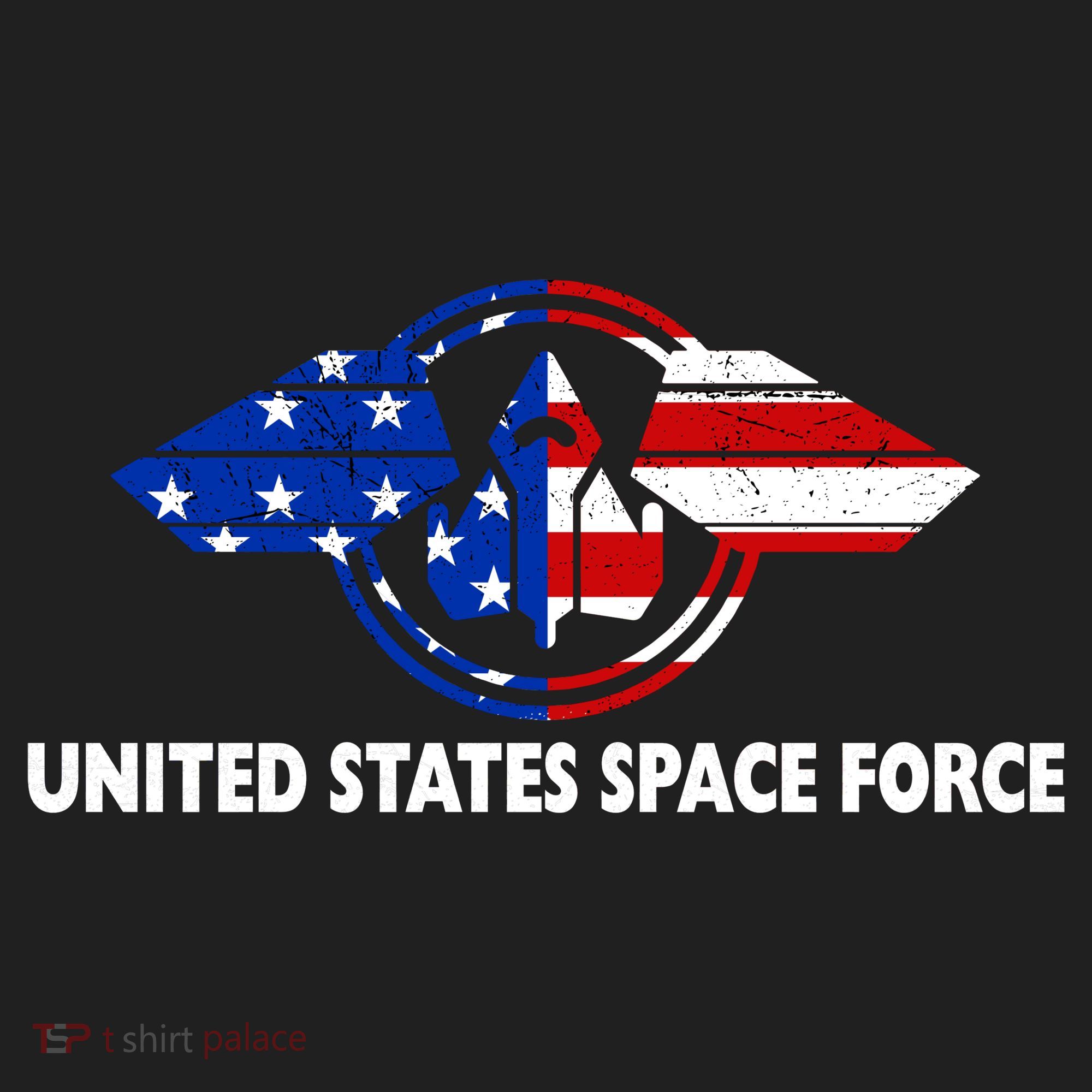 United States Space Force Beanie