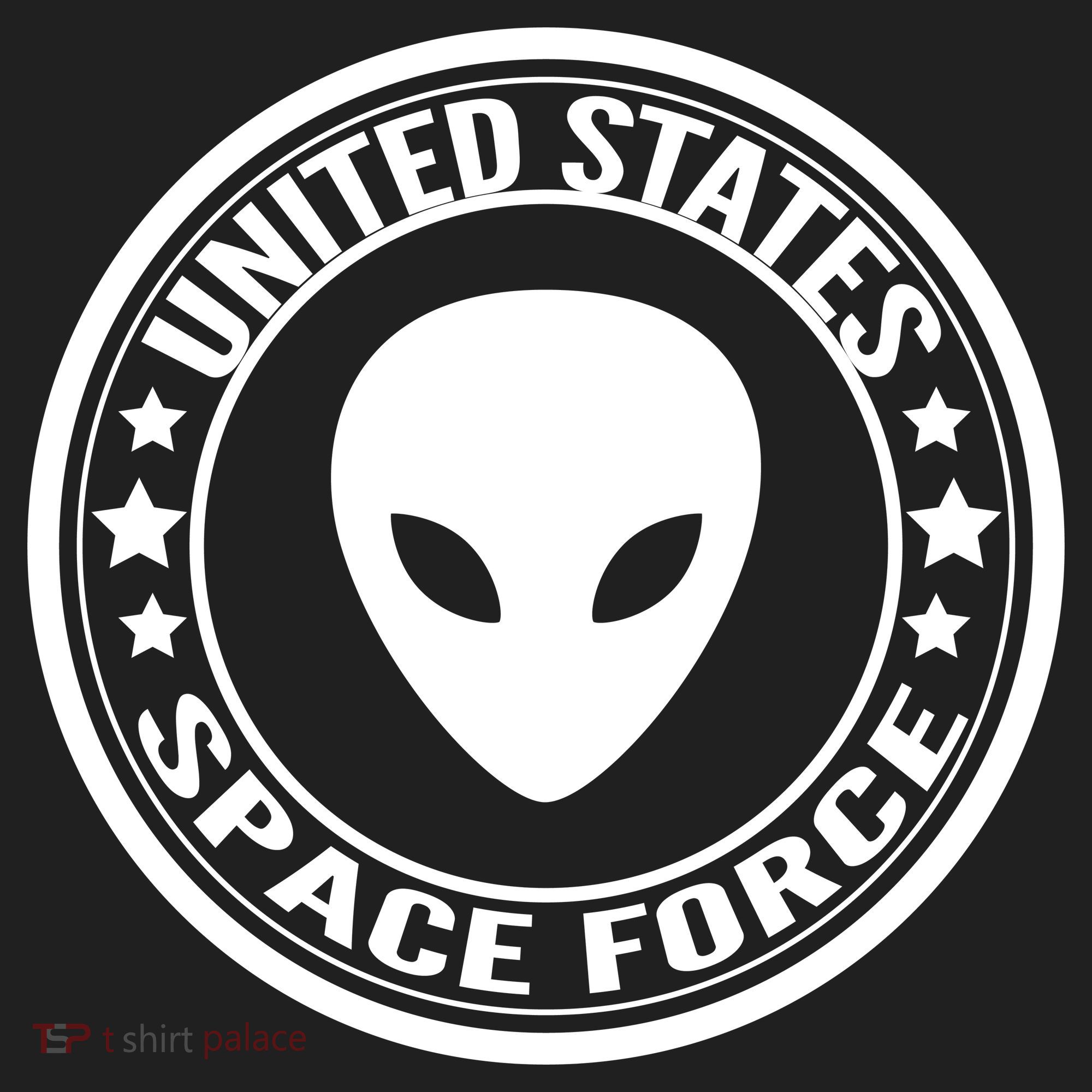 United States Space Force Alien Beanie