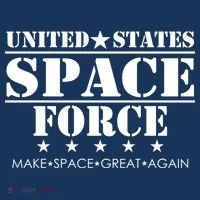 United States Space Force Make Space Great Again Toddler Hoodie thumb 2