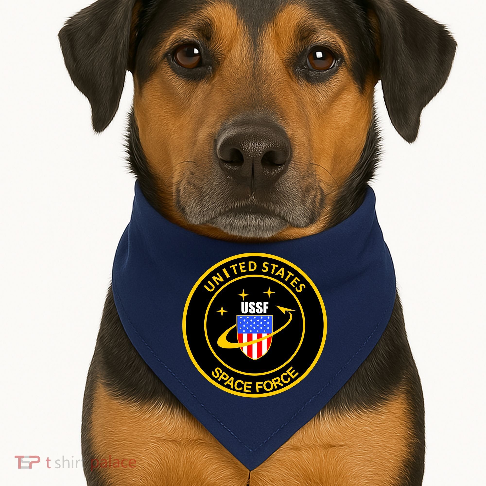 United States Space Force USSF USA-Made Doggie Bandana
