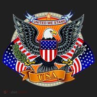 United We Stand USA Eagle Crest Hat thumb 2