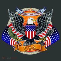 United We Stand USA Eagle Crest Sweatshirt thumb 2