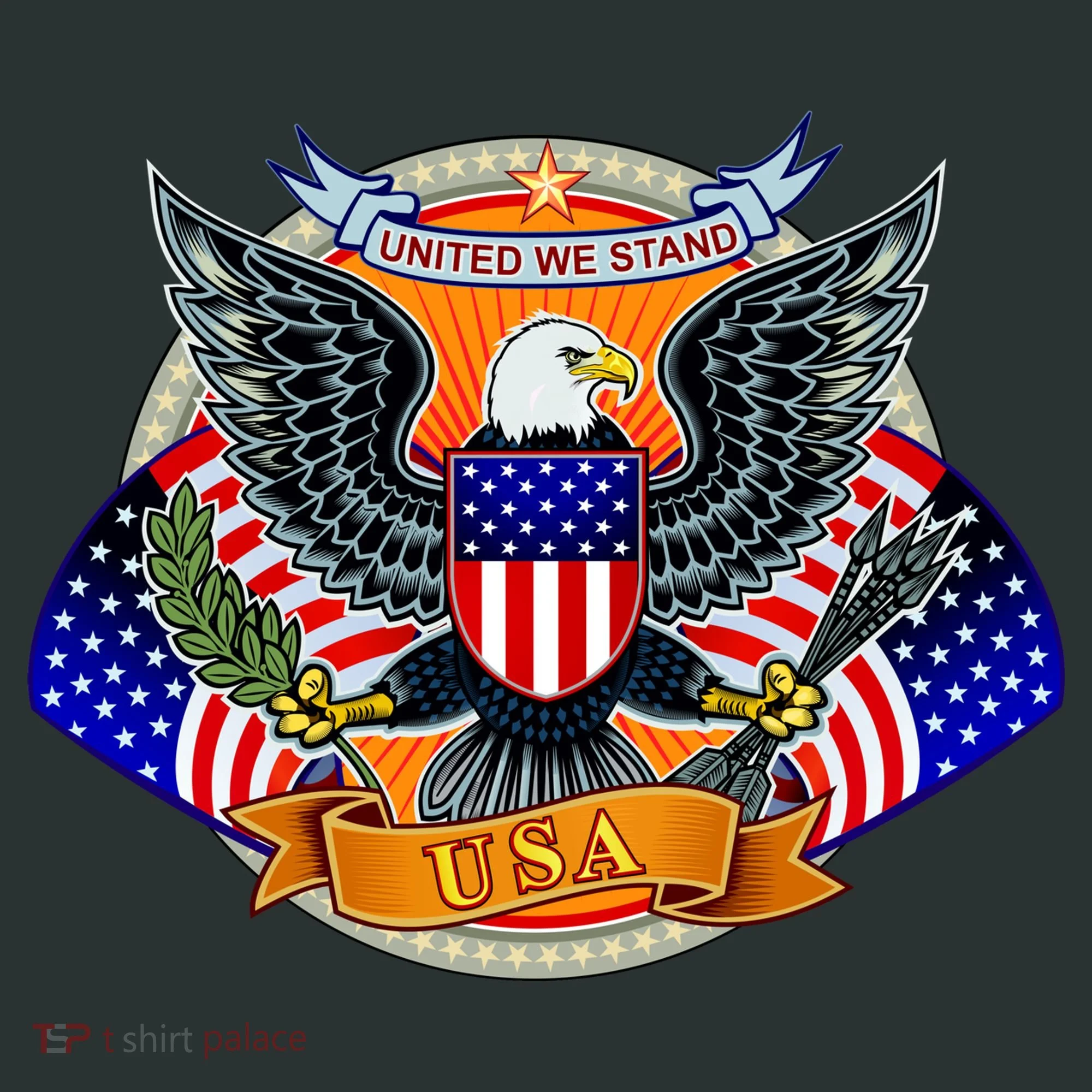 United We Stand USA Eagle Crest Women's T-Shirt