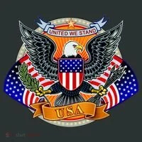 United We Stand USA Eagle Crest Kids T-Shirt thumb 4