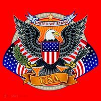 United We Stand USA Eagle Crest Santa Hat thumb 1