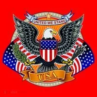 United We Stand USA Eagle Crest Santa Hat thumb 1