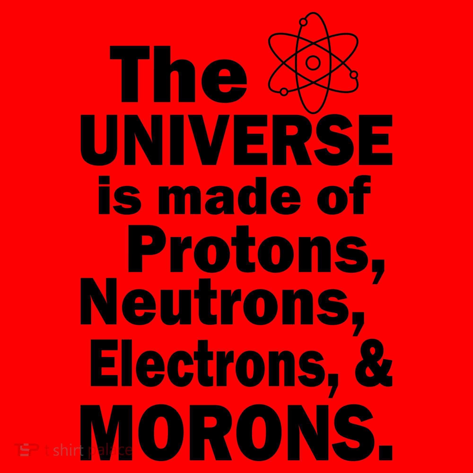 Universe Is Made Of Morons Santa Hat