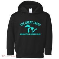 Unsalted N Shark Free The Great Lakes  Michigan Toddler Hoodie thumb 0