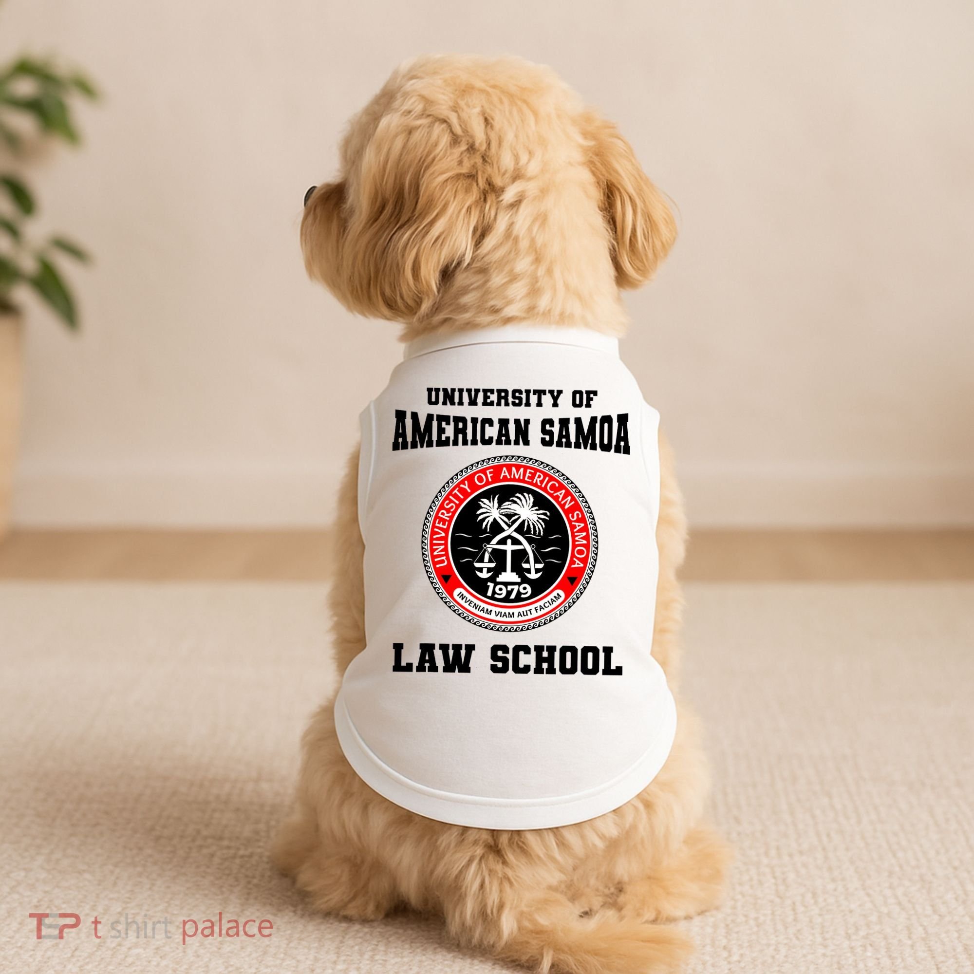 University Of American Samoa Law School Better Call Saul Doggie Tank