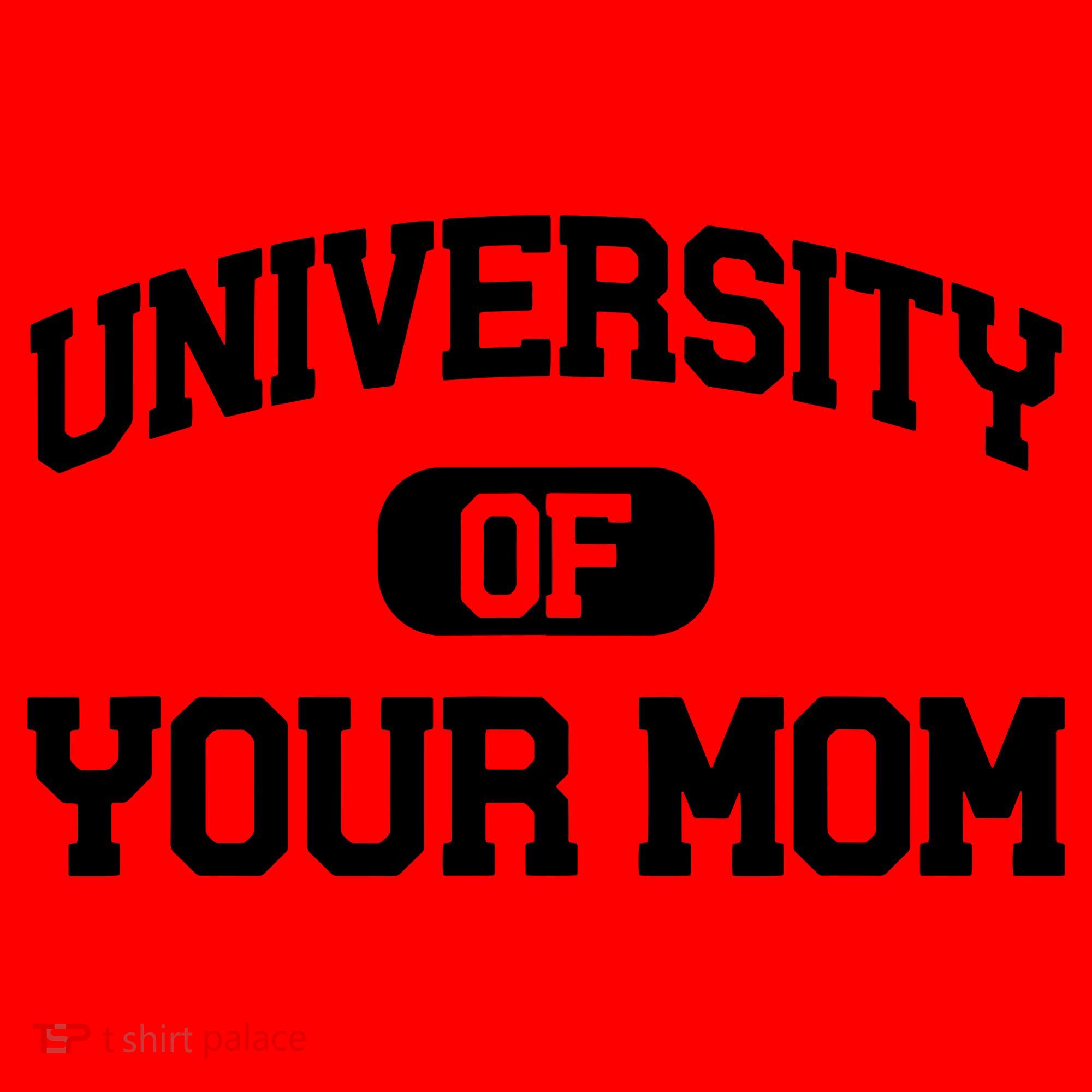 University Of Your Mom Santa Hat
