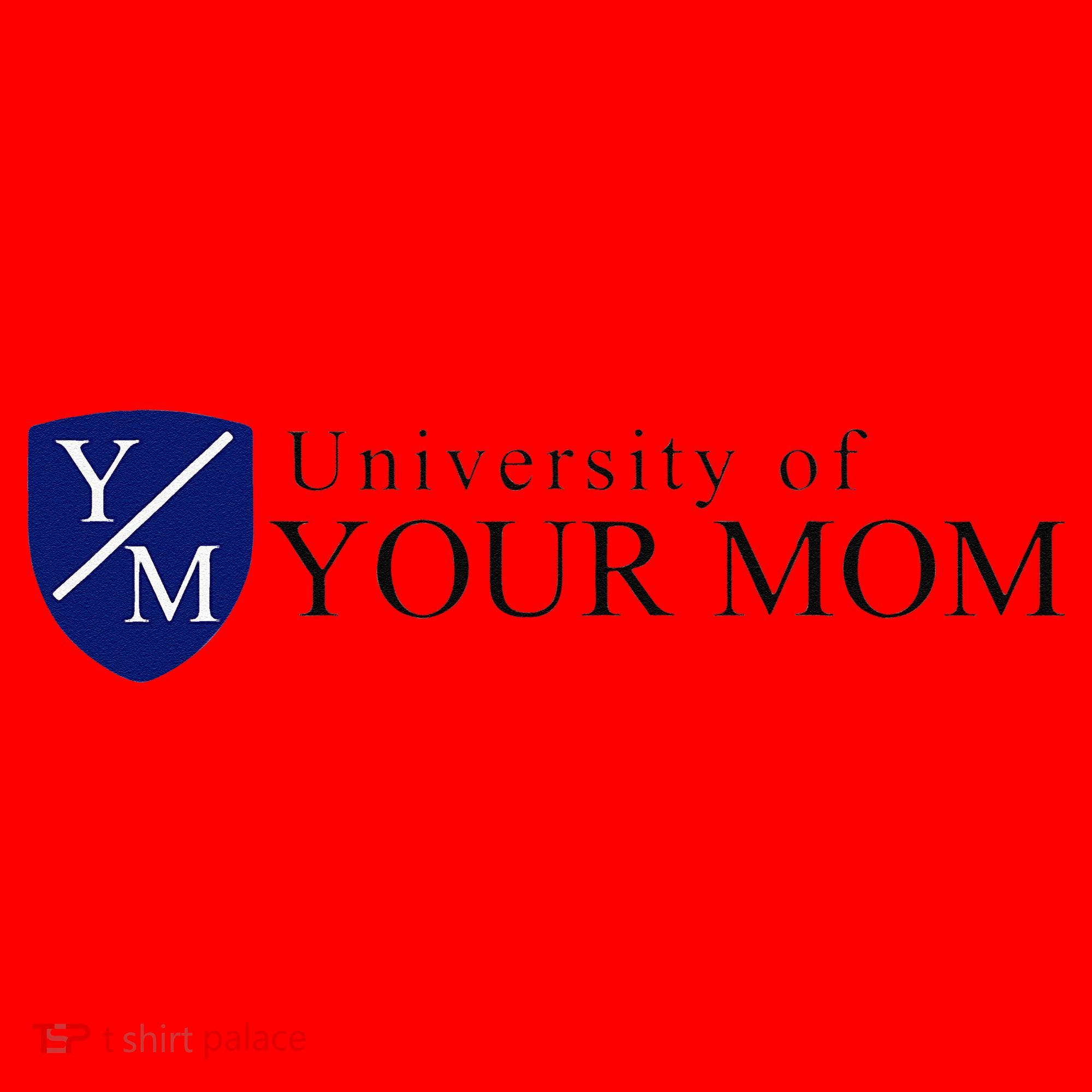 University Of Your Mom Santa Hat