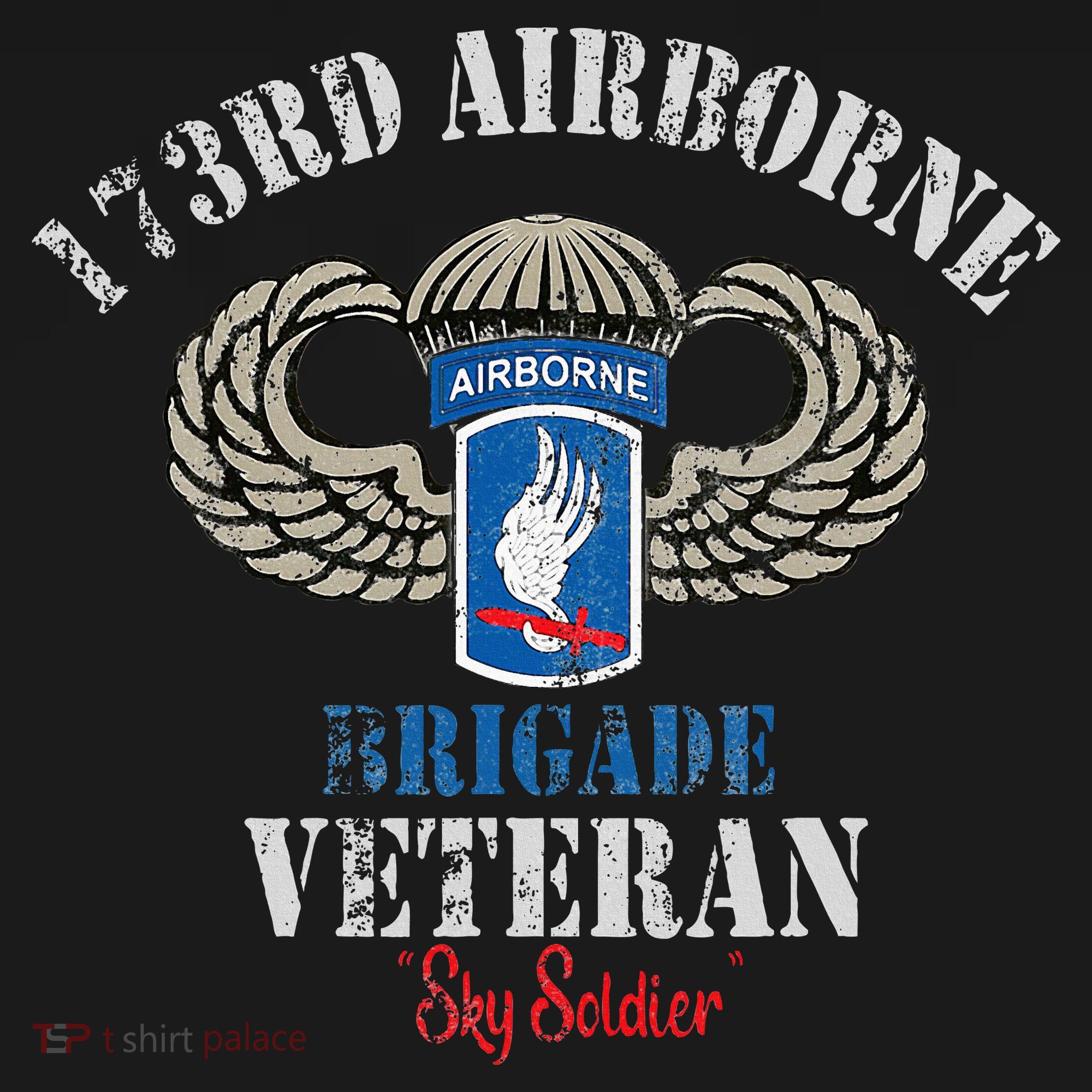 Us Paratrooper 173rd Airborne Brigade Veteran Sky Soldier Bucket Hat