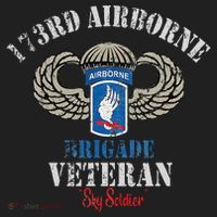 Us Paratrooper 173rd Airborne Brigade Veteran Sky Soldier Hat thumb 2