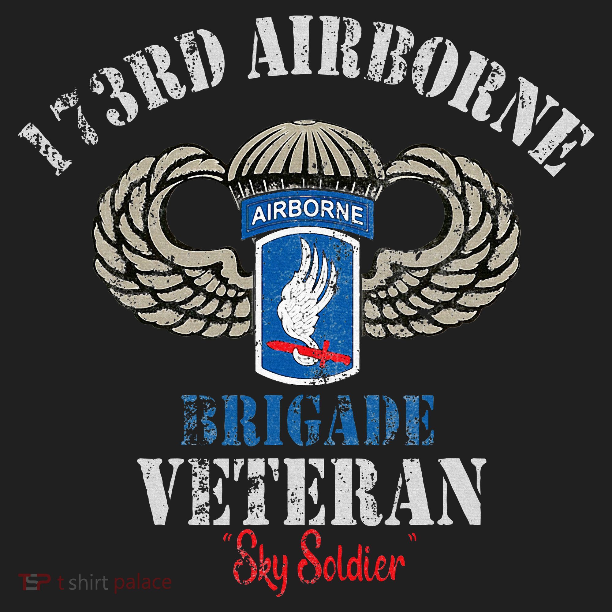 Us Paratrooper 173rd Airborne Brigade Veteran Sky Soldier Hat