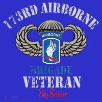 Us Paratrooper 173rd Airborne Brigade Veteran Sky Soldier Sweatshirt thumb 3