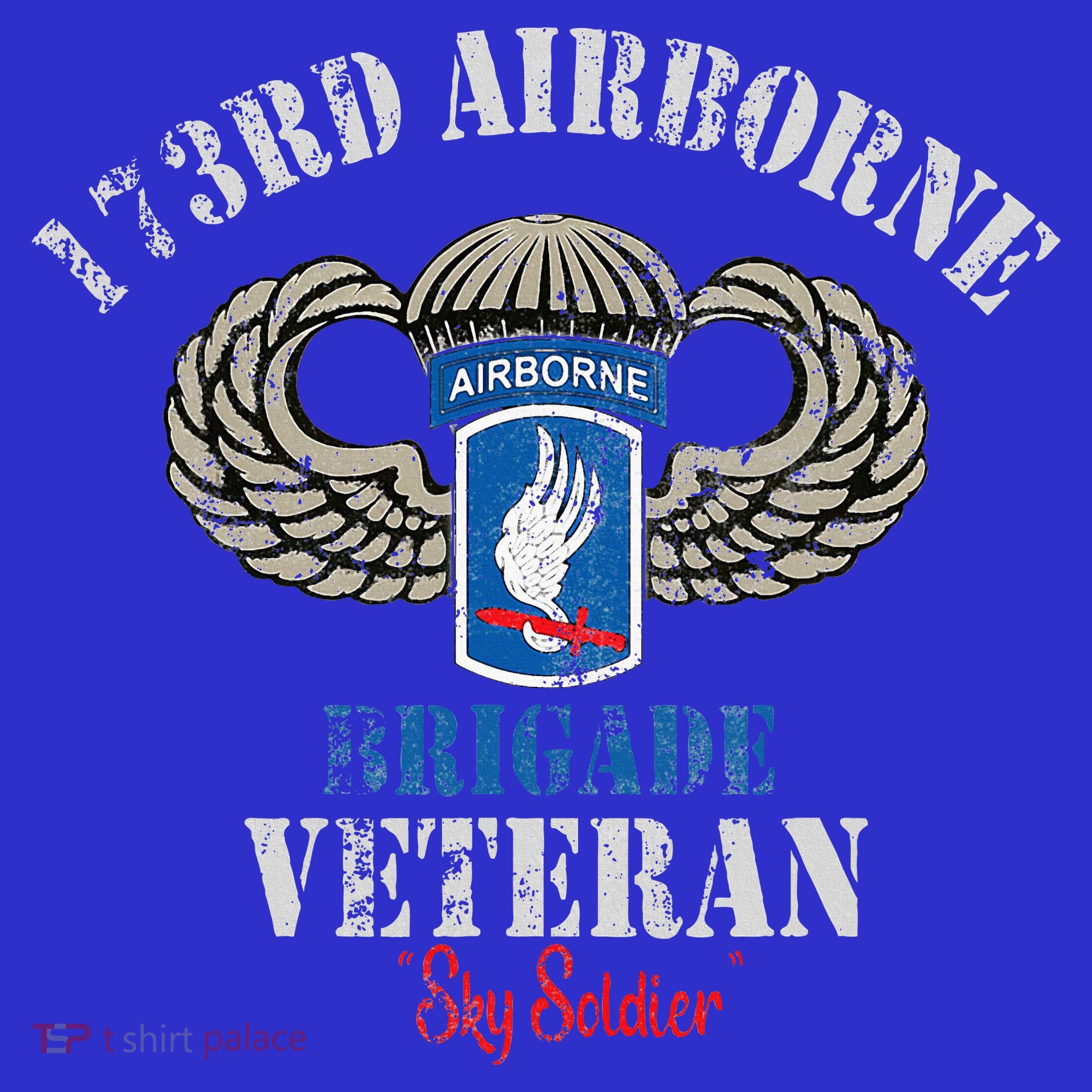 Us Paratrooper 173rd Airborne Brigade Veteran Sky Soldier Tank Top