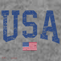 USA  Patriotic American Flag Distressed Toddler Hoodie thumb 2