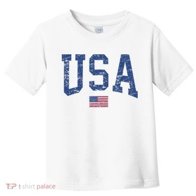 USA  Patriotic American Flag Distressed Toddler T-Shirt