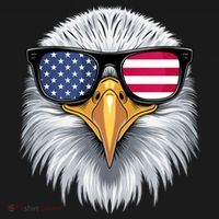 Usa Patriotic American Flag Bald Eagle Sunglasses July 4th Women's Hoodie thumb 2