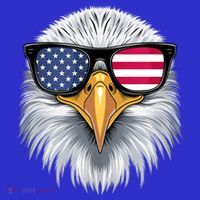 Usa Patriotic American Flag Bald Eagle Sunglasses July 4th Toddler Hoodie thumb 2