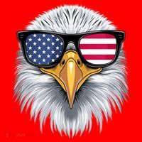 Usa Patriotic American Flag Bald Eagle Sunglasses July 4th Santa Hat thumb 1