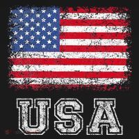 Usa Patriotic American Flag Women's Hoodie thumb 2