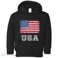 Usa Patriotic American Flag Toddler Hoodie thumb 0
