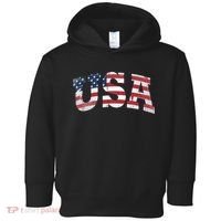 USA  Patriotic American Flag Distressed Toddler Hoodie thumb 0
